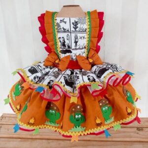 Vestido nordestina